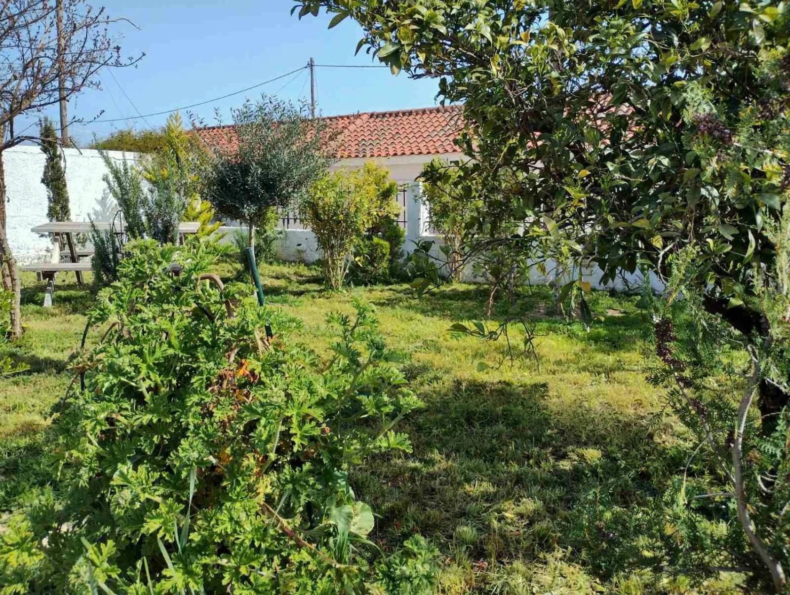Nafplio Cottage-Grandma'S Yard Asíni Екстериор снимка